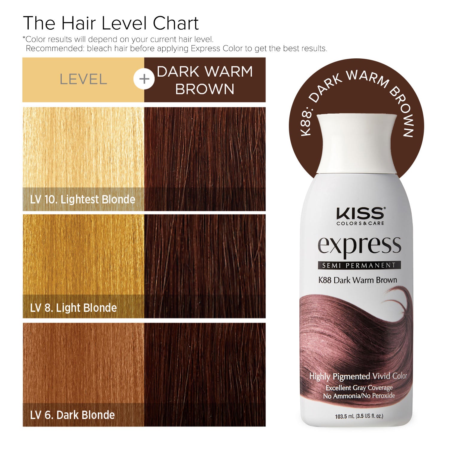 Kiss Express Semi-Permanent Hair Color - Dark Warm Brown, 3.5 Oz (K88)